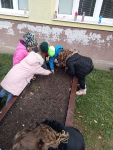 Deti z ŠKD sadia zimnú cibuľu a cesnak