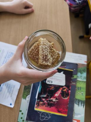 Facinujúci svet včiel